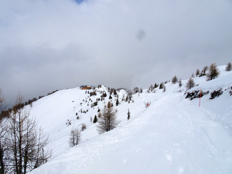 dsc085505zikk.jpg