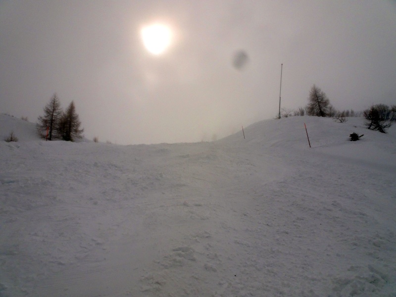 dsc08572qkeip.jpg