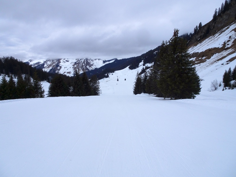 dsc085768gk0n.jpg
