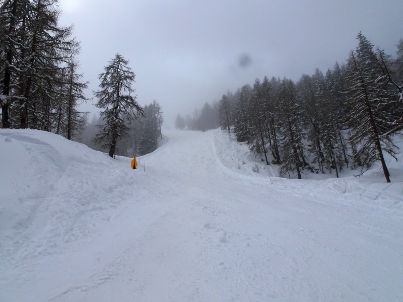 dsc085792de87.jpg