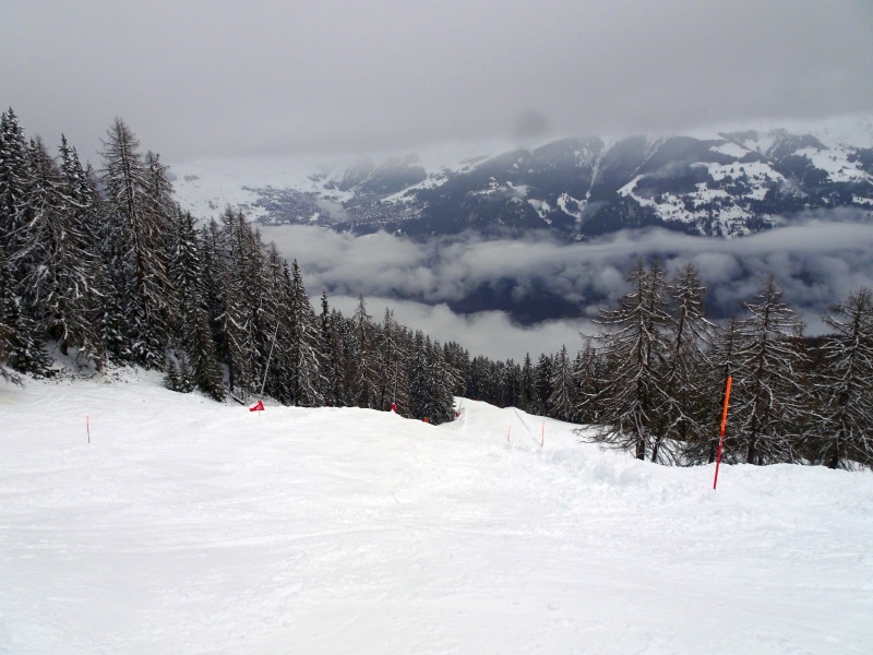 dsc08582btfp2.jpg