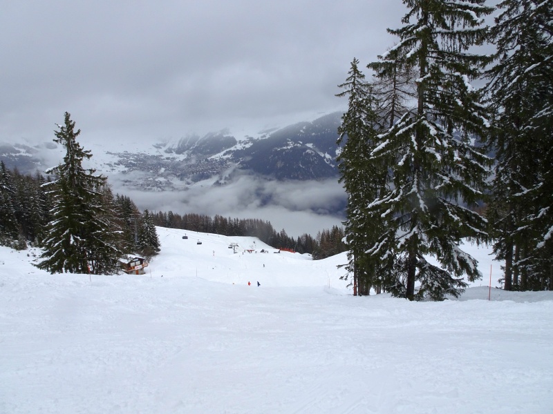 dsc085906le9f.jpg