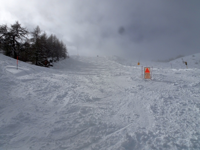 dsc08610v6fip.jpg