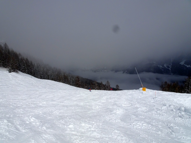 dsc08613mliqj.jpg