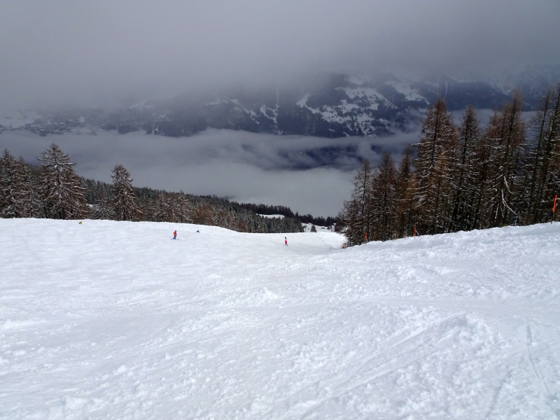 dsc08615jkcz1.jpg