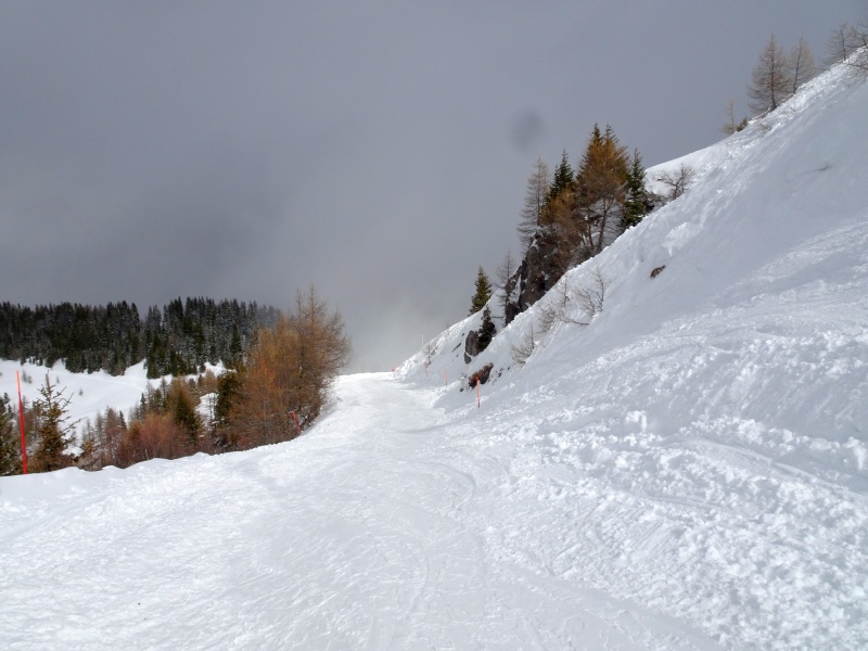 dsc08623sseel.jpg