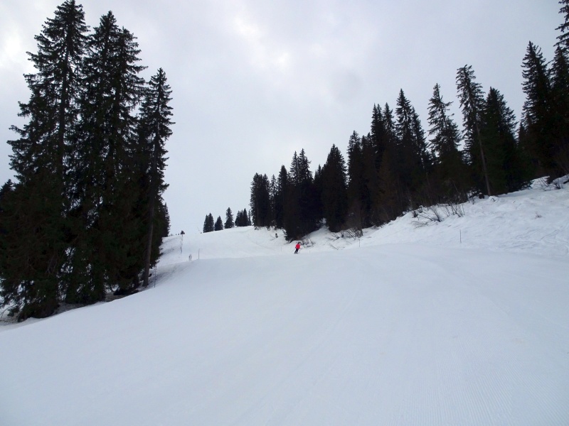 dsc08626s8jh0.jpg