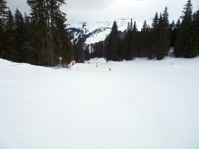 dsc08637vjjjq.jpg