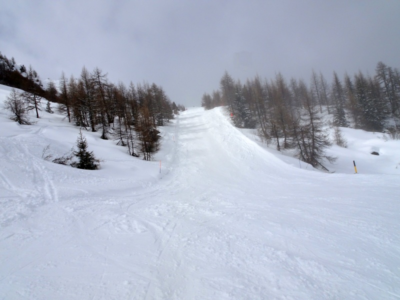 dsc08638dcdcm.jpg