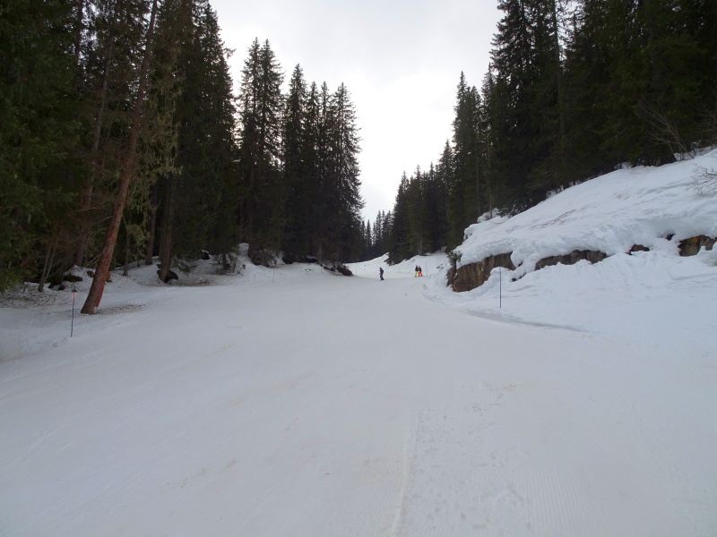 dsc08651u7k53.jpg