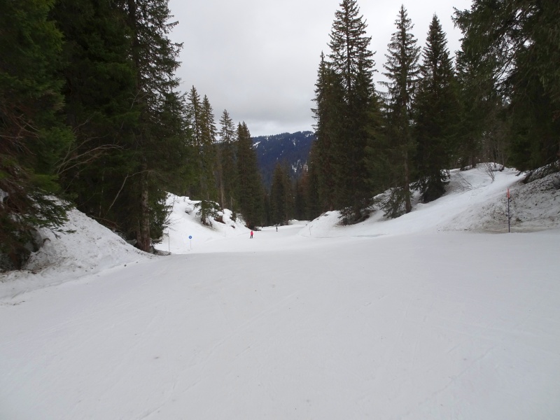 dsc08652gyj44.jpg