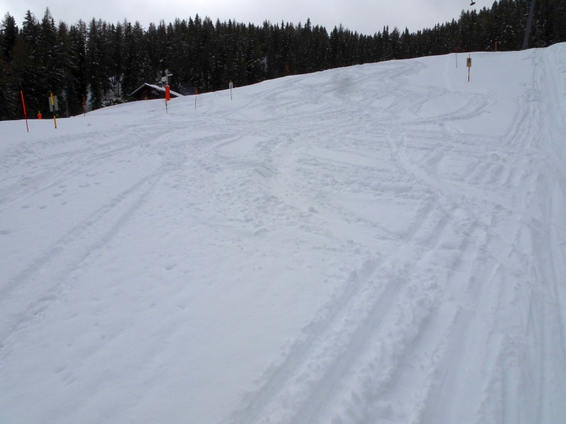 dsc08668hsdn6.jpg
