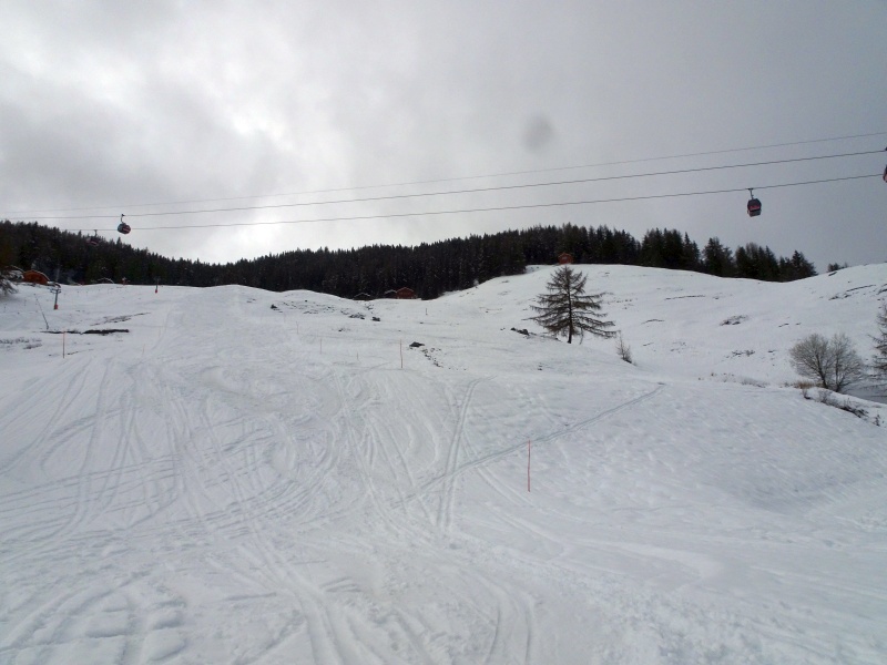 dsc086797ne9f.jpg