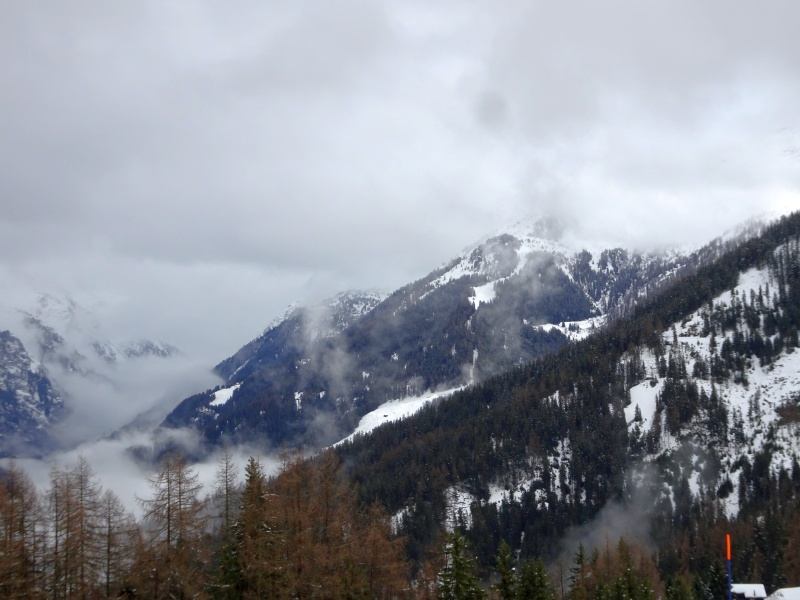 dsc0868750fac.jpg