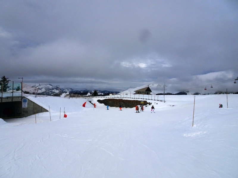 dsc08708ovknp.jpg
