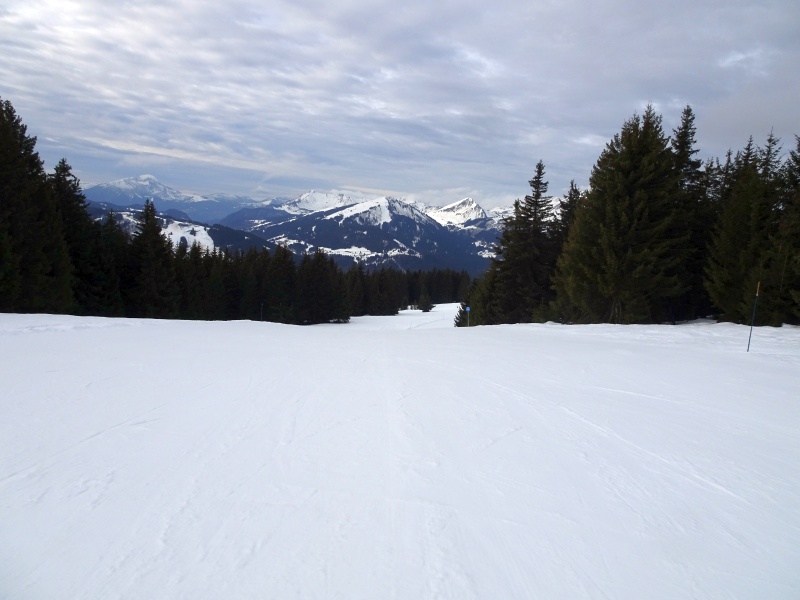 dsc087578bkyv.jpg