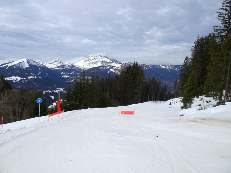 dsc087641rk7t.jpg