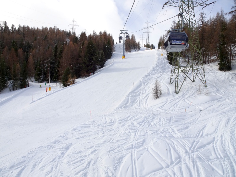 dsc087943cdtm.jpg