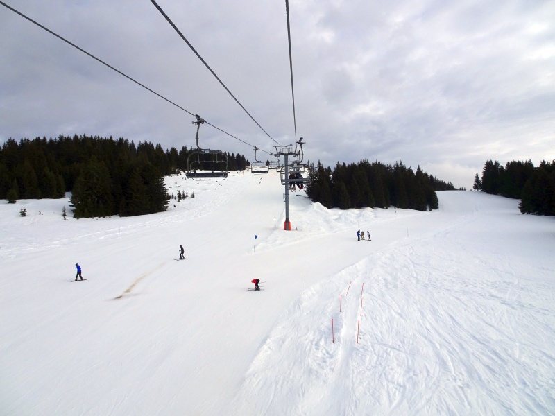 dsc08794l0j25.jpg