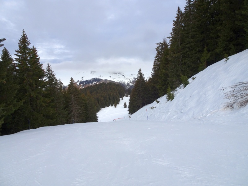 dsc08825cbjm8.jpg