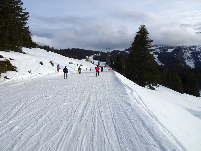 dsc088520ij0a.jpg