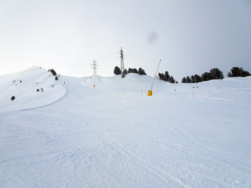 dsc08900tbfsj.jpg
