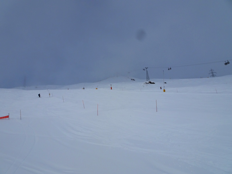 dsc089801zcx8.jpg