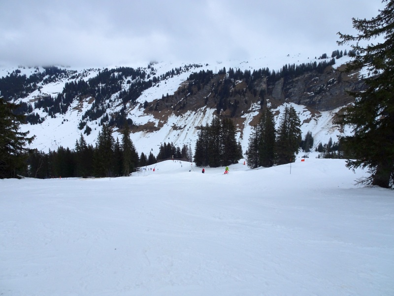 dsc09005k1kvg.jpg