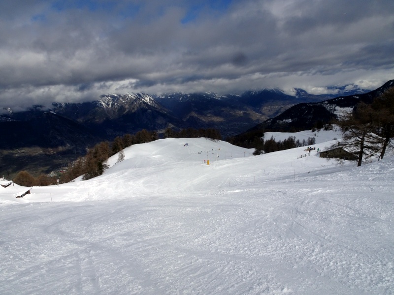 dsc09092hiebn.jpg