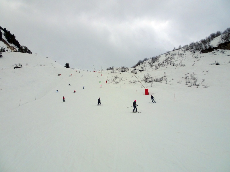 dsc091363rjsz.jpg