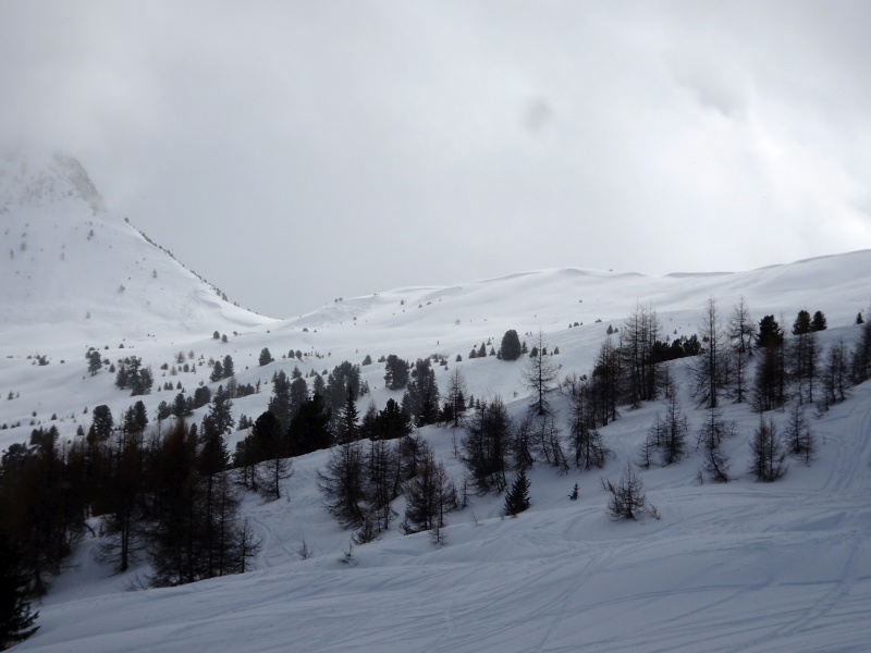 dsc09136jhelj.jpg
