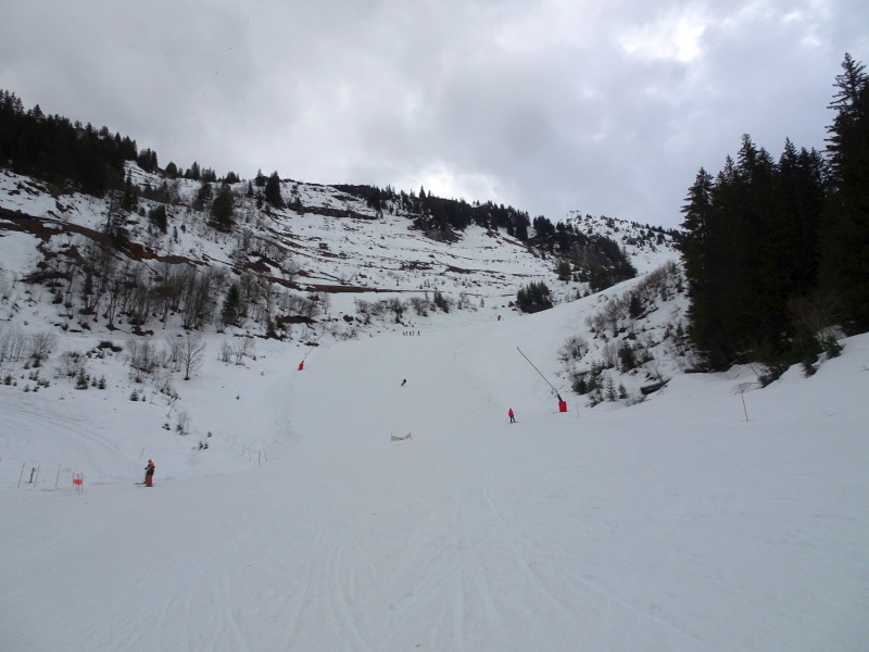 dsc09155b1k7m.jpg