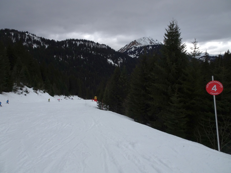 dsc09160bdkde.jpg