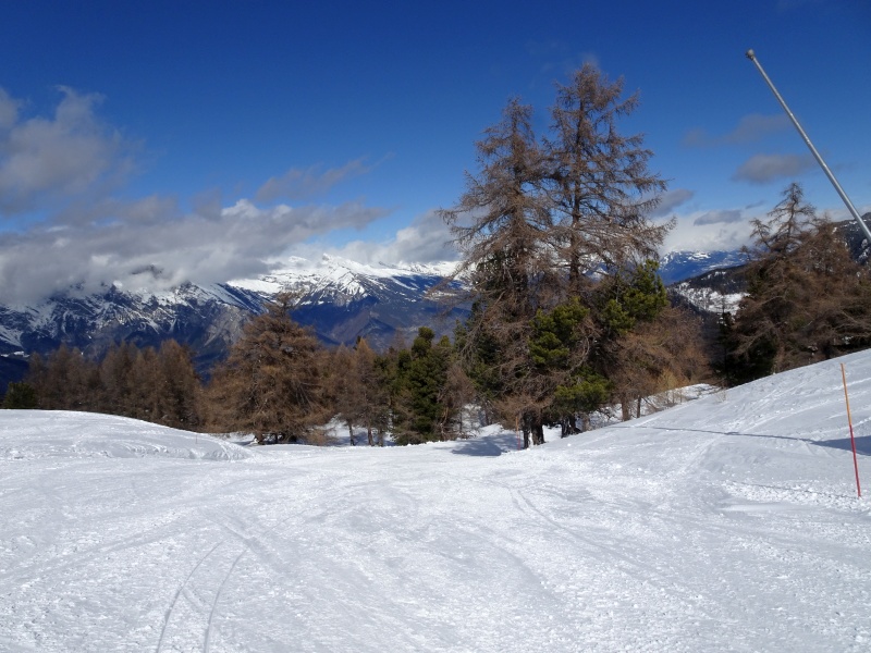 dsc09184dce8a.jpg