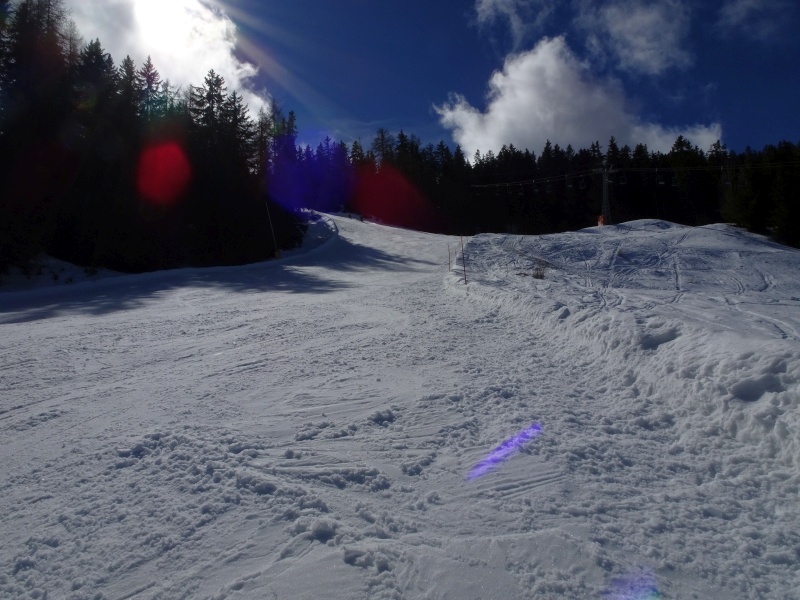 dsc09192b1cl9.jpg