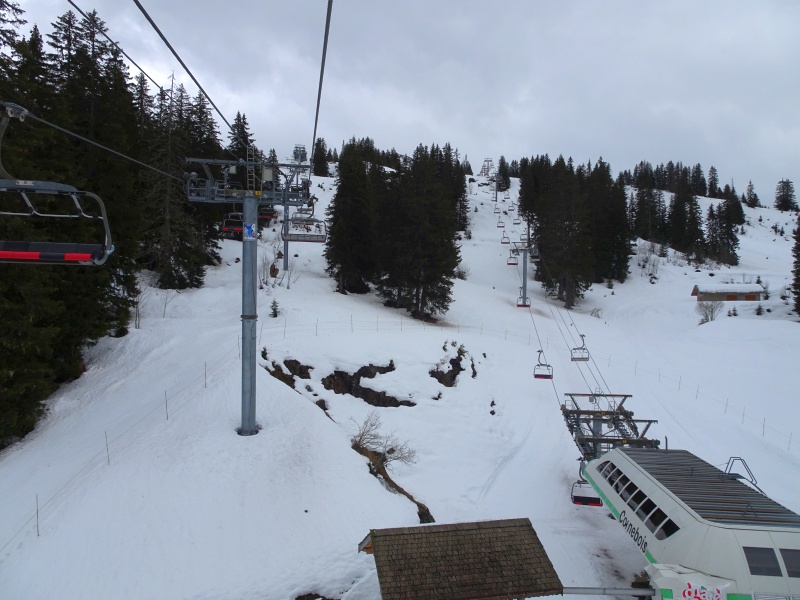 dsc09201sxkmj.jpg
