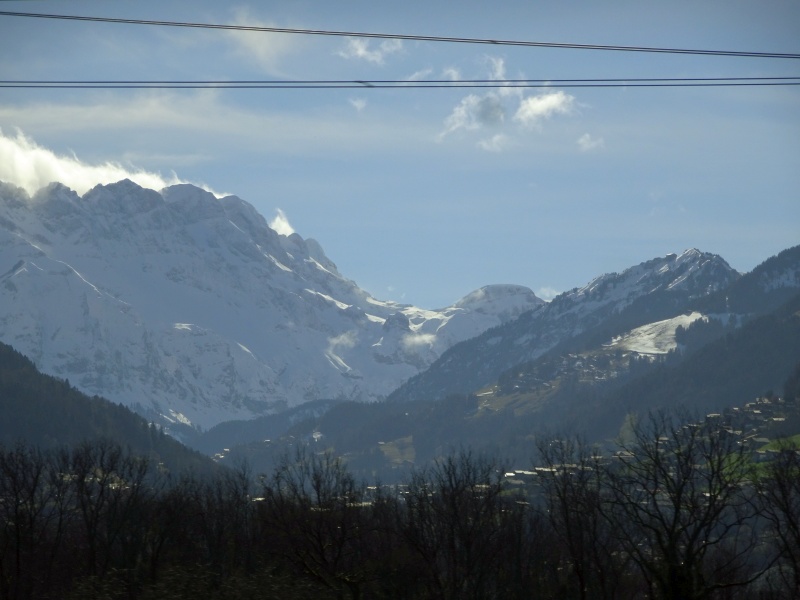 dsc09213q1fwv.jpg