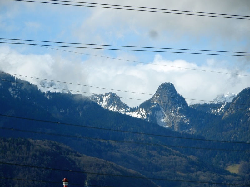 dsc09214xyfzy.jpg