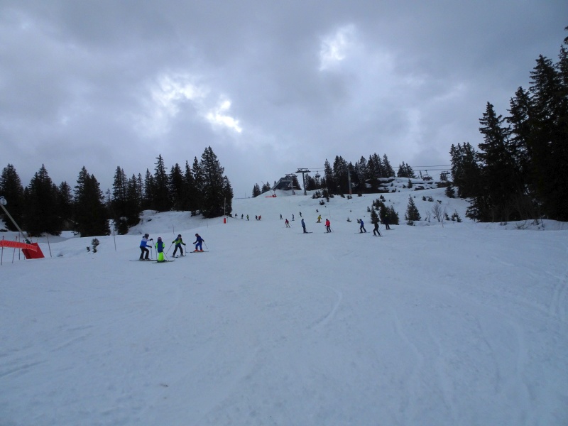 dsc09217qxj3z.jpg