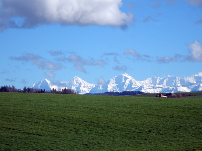 dsc09222xzcur.jpg