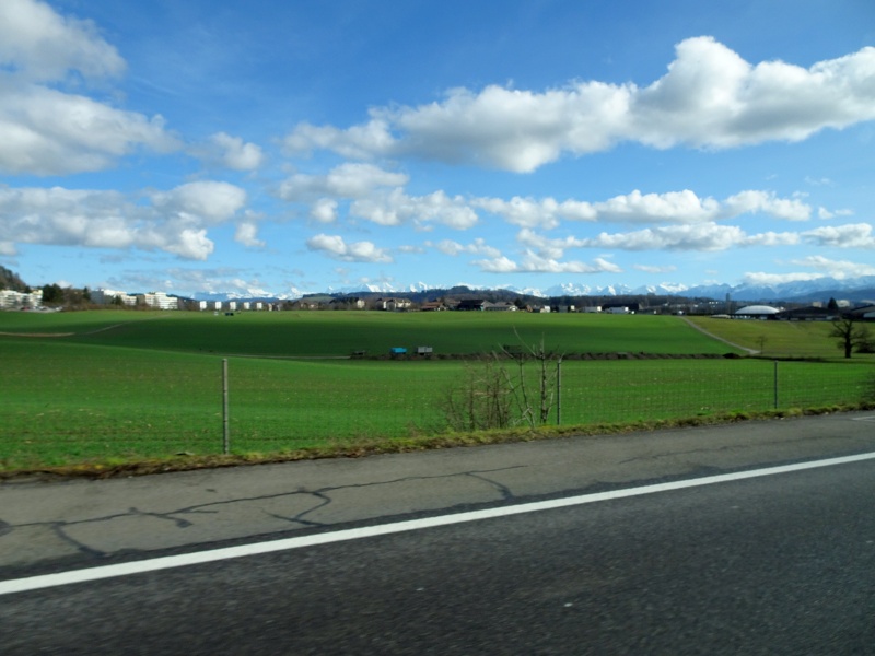 dsc09225zbdyr.jpg