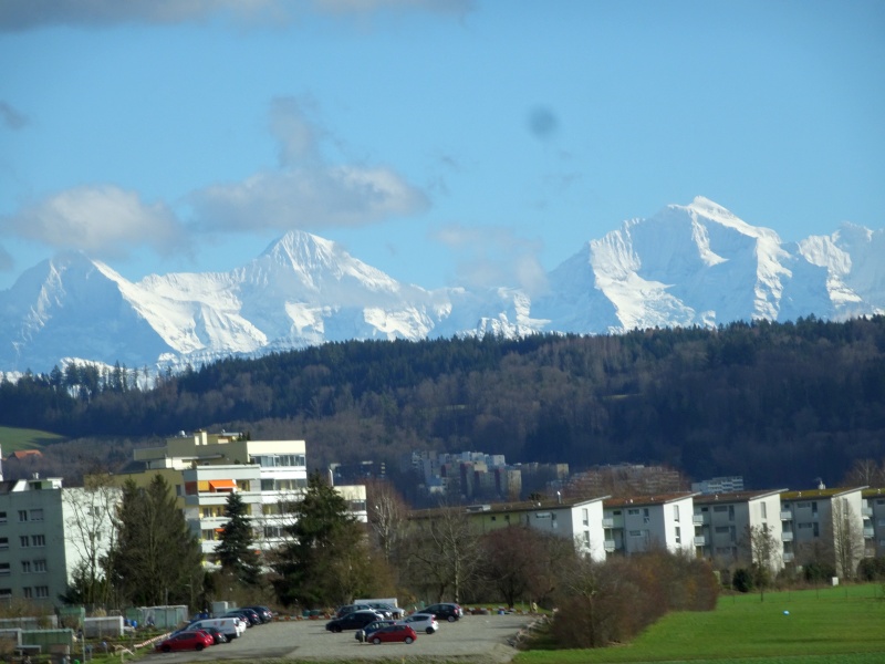 dsc09227xpefc.jpg