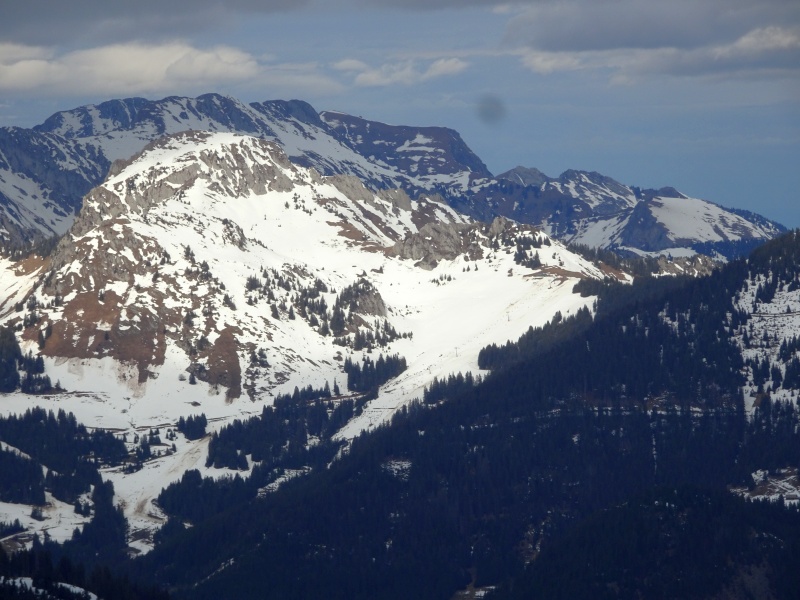 dsc092574pkxy.jpg