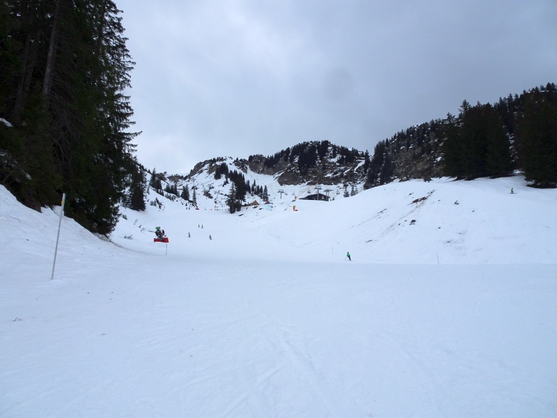 dsc09272fukfn.jpg