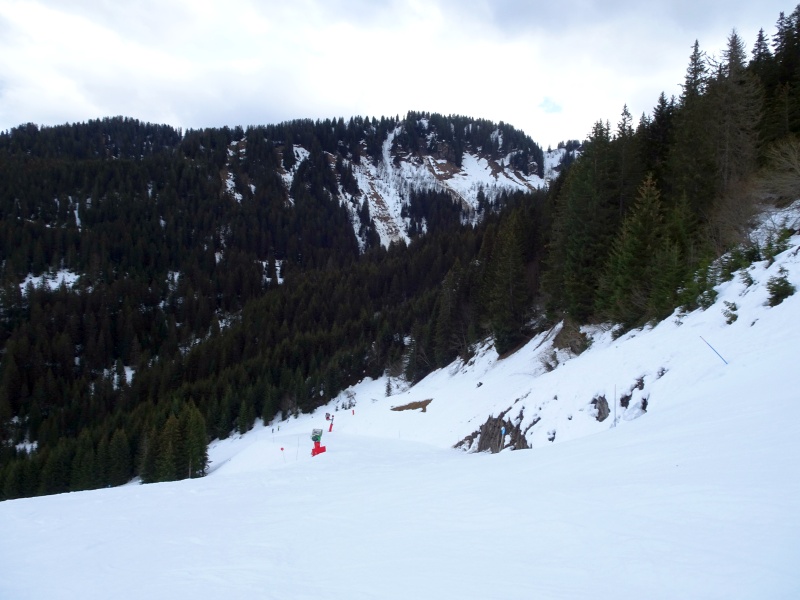 dsc09274zpksw.jpg