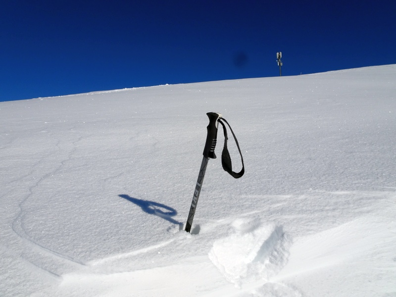 dsc09282c6cv6.jpg