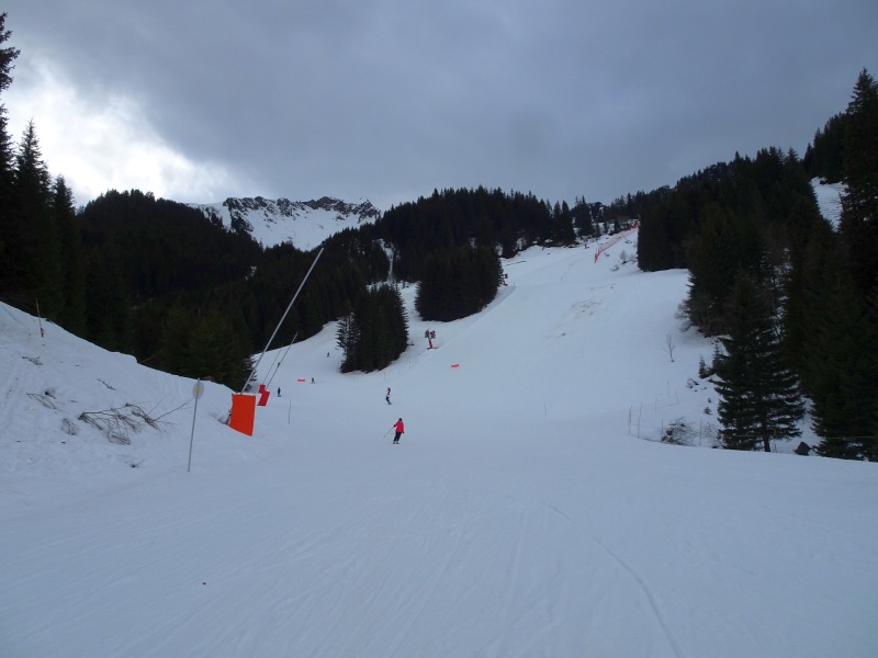 dsc09283i4kxs.jpg