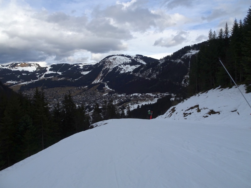 dsc09285tqj5k.jpg