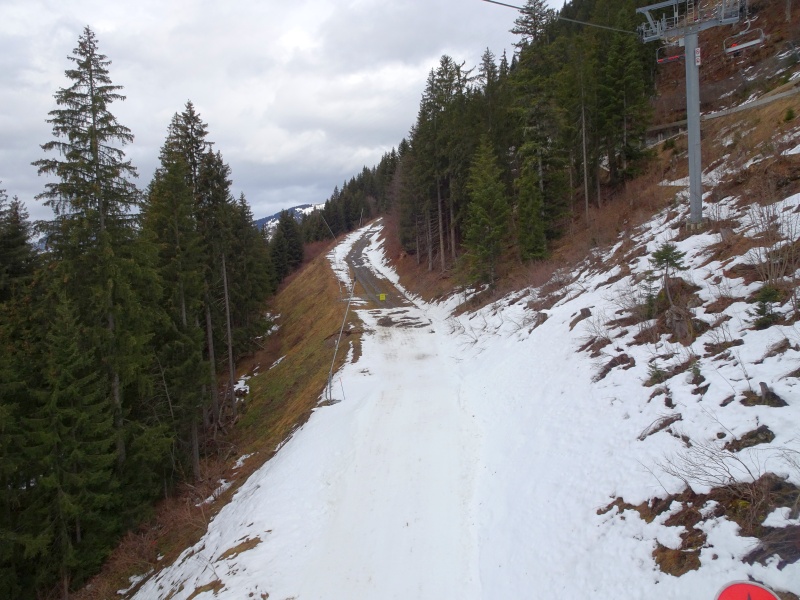 dsc09321zukwx.jpg