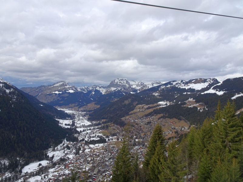 dsc09329eyjvm.jpg